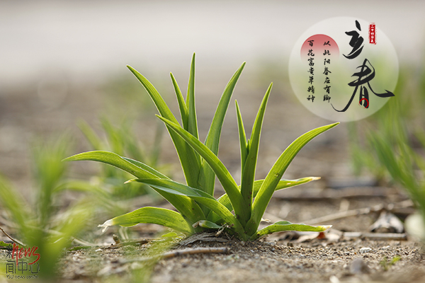 多宝官网·二十四节气