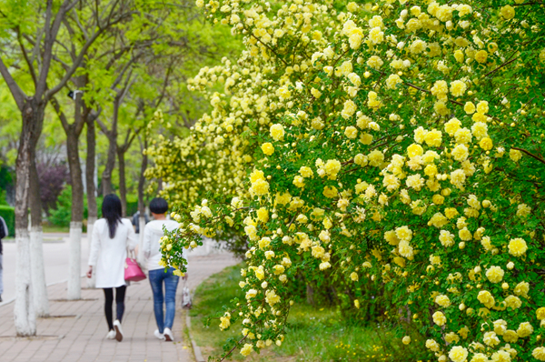 与你相遇多宝官网，四季终成诗歌（组图）